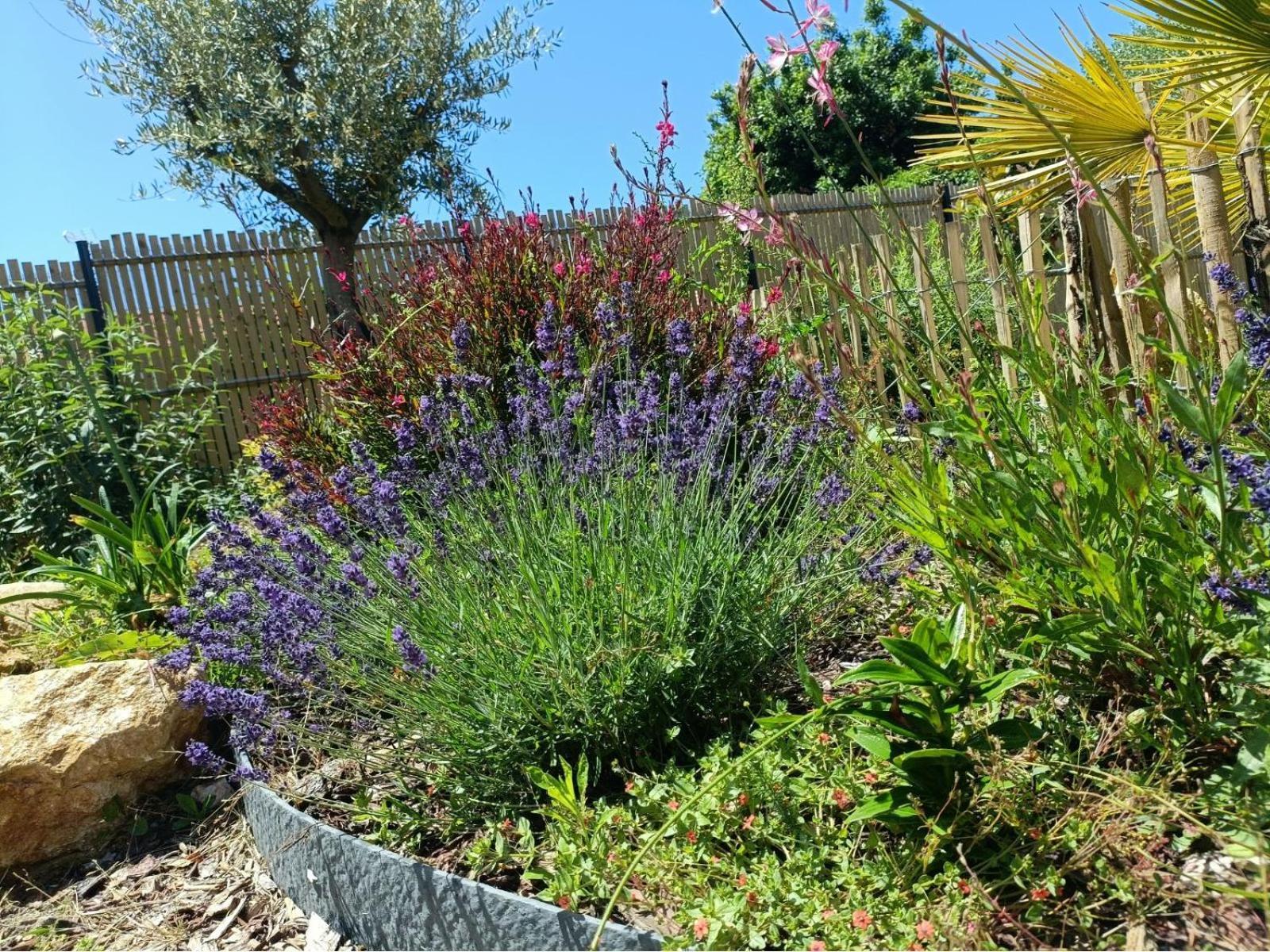 Apb Spa Locations Avec Jacuzzi Privatif Saint-Jean-de-Monts Bagian luar foto