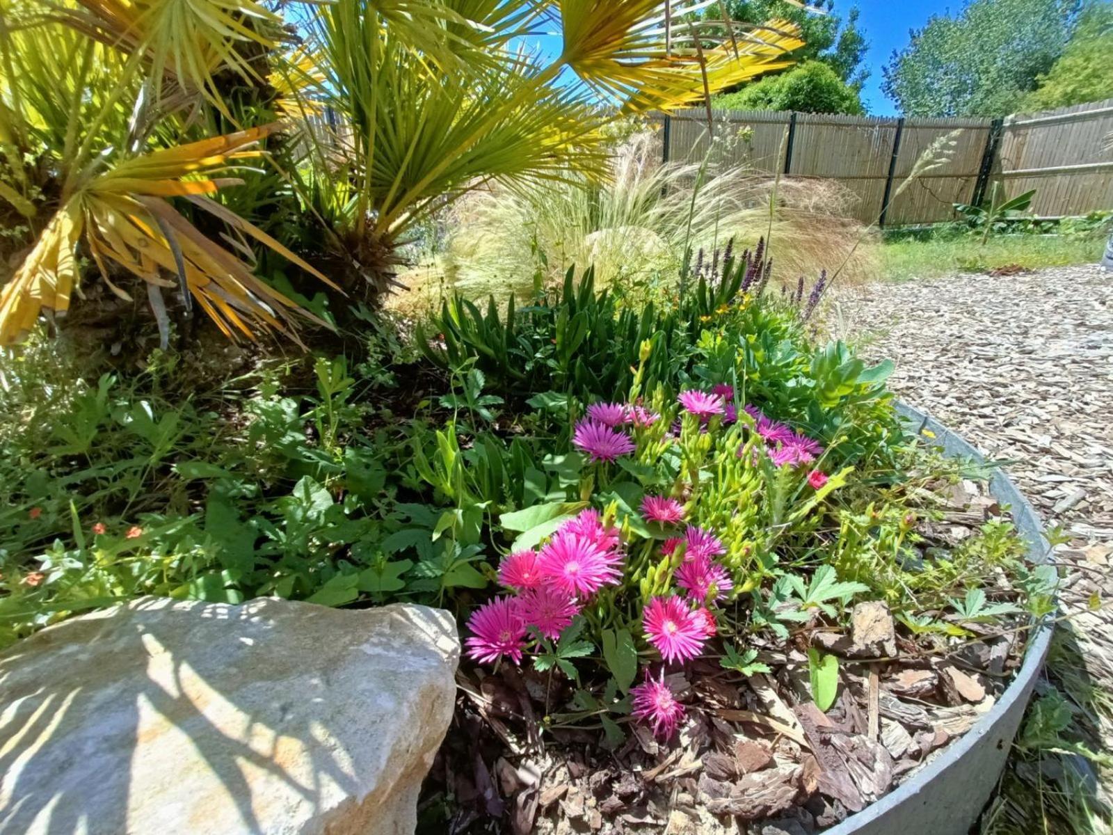 Apb Spa Locations Avec Jacuzzi Privatif Saint-Jean-de-Monts Bagian luar foto